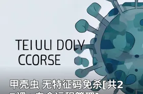 甲壳虫 无特征码免杀[共27课+白金远程管理]