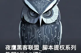 夜鹰黑客联盟_脚本提权系列教程[共15课]