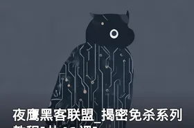 夜鹰黑客联盟_揭密免杀系列教程[共41课]