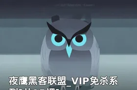 夜鹰黑客联盟_VIP免杀系列[共15课]