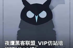 夜鹰黑客联盟_VIP仿站培训班[共13课]
