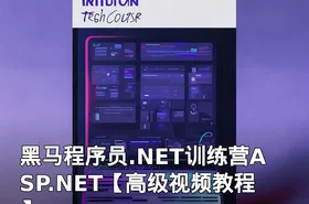 黑马程序员.NET训练营ASP.NET【高级视频教程】