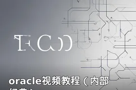 oracle视频教程（内部经典）
