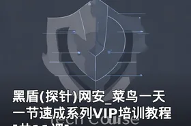 黑盾(探针)网安_菜鸟一天一节速成系列VIP培训教程[共11课]