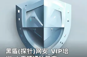黑盾(探针)网安_VIP培训-十天精通注册表