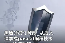 黑盾(探针)网安 _从浅入深掌握pascal编程技术VIP培训教程