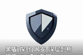 黑盾(探针)网安_深层剖析程序VIP培训教程