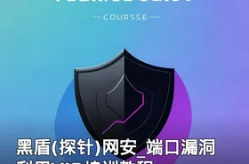 黑盾(探针)网安_端口漏洞利用VIP培训教程