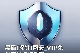 黑盾(探针)网安_VIP免杀实战培训教程