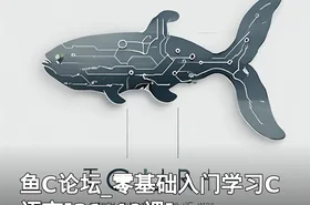鱼C论坛_零基础入门学习C语言[21-40课]