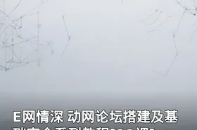 E网情深 动网论坛搭建及基础安全系列教程[11课]