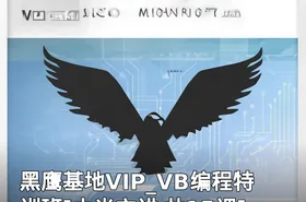 黑鹰基地VIP_VB编程特训班[大米主讲 共15课]