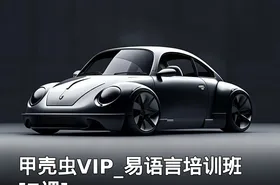 甲壳虫VIP_易语言培训班[7课]