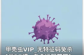 甲壳虫VIP_无特征码免杀[共27课+白金远程管理]