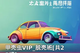 甲壳虫VIP_脱壳班[共25课]