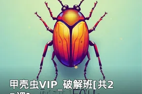 甲壳虫VIP_破解班[共25课]