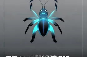 甲壳虫VIP_外挂高级班