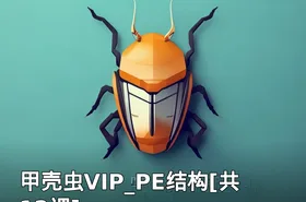 甲壳虫VIP_PE结构[共12课]