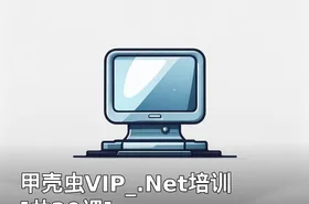 甲壳虫VIP_.Net培训[共20课]
