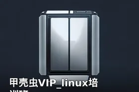 甲壳虫VIP_linux培训班