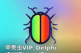 甲壳虫VIP_Delphi培训班[共10课]