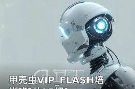 甲壳虫VIP_FLASH培训班[共15课]