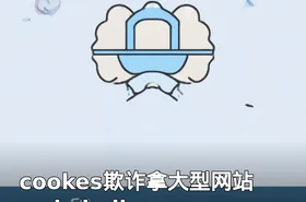 cookes欺诈拿大型网站webshell