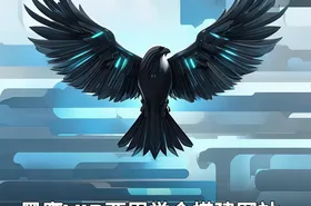 黑鹰VIP两周学会搭建网站