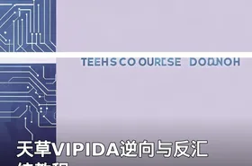 天草VIPIDA逆向与反汇编教程