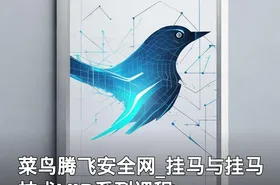 菜鸟腾飞安全网_挂马与挂马技术VIP系列课程