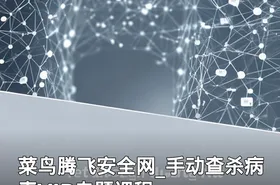 菜鸟腾飞安全网_手动查杀病毒VIP专题课程