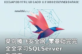 菜鸟腾飞安全网_零基础完完全全学习SQLServer数据库