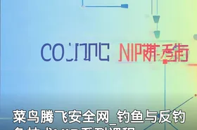 菜鸟腾飞安全网_钓鱼与反钓鱼技术VIP系列课程
