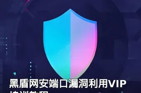 黑盾网安端口漏洞利用VIP培训教程