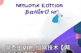 甲壳虫VIP_组网技术【网络绝版课程】
