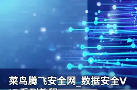 菜鸟腾飞安全网_数据安全VIP系列教程
