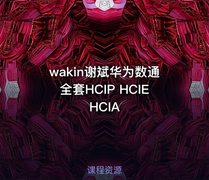 wakin谢斌华为数通全套HCIP HCIE HCIA