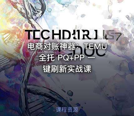 电商对账神器：TEMU 全托 PQ+PP 一键刷新实战课