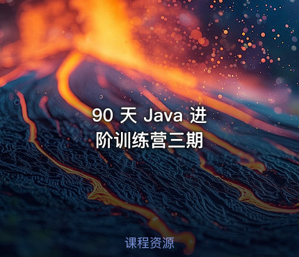 90 天 Java 进阶训练营三期