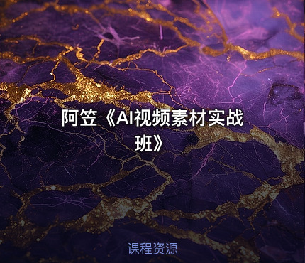阿笠《AI视频素材实战班》