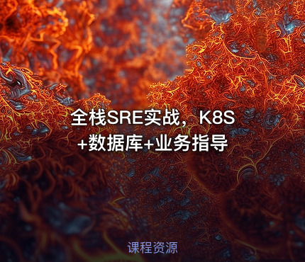 全栈SRE实战，K8S+数据库+业务指导