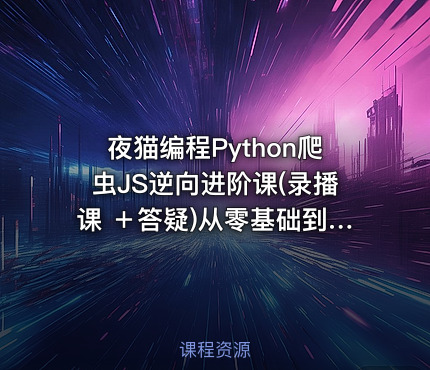 夜猫编程Python爬虫JS逆向进阶课(录播课 ＋答疑)从零基础到高薪就业编程课