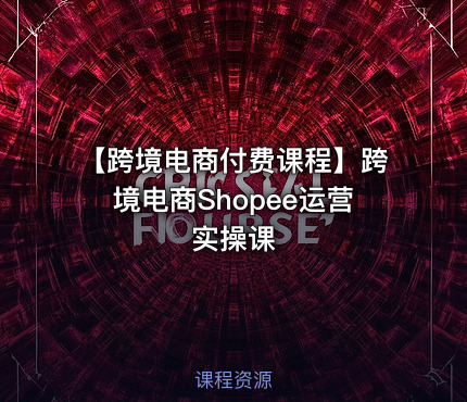【跨境电商付费课程】跨境电商Shopee运营实操课