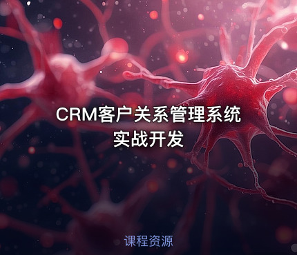 CRM客户关系管理系统实战开发