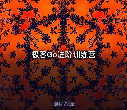 极客Go进阶训练营