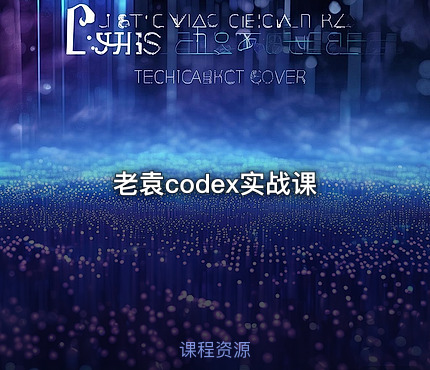 老袁codex实战课