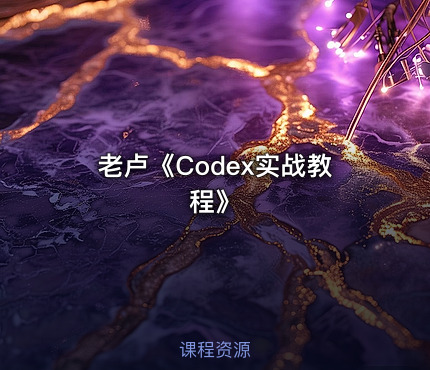 老卢《Codex实战教程》