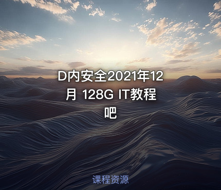D内安全2021年12月 128G IT教程吧