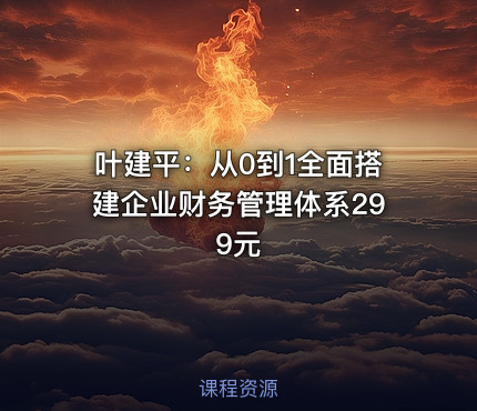 叶建平：从0到1全面搭建企业财务管理体系299元