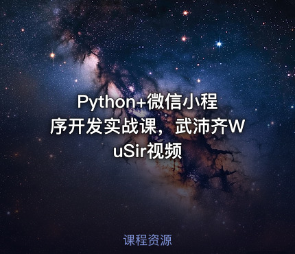 Python+微信小程序开发实战课，武沛齐WuSir视频